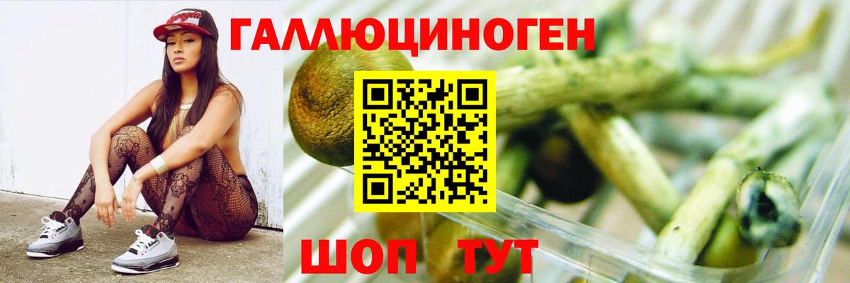 Галлюциногенные грибы прущие грибы Сочи